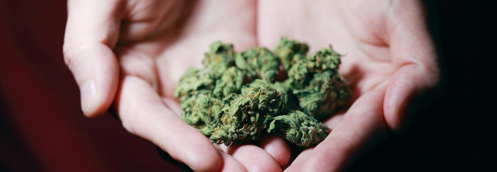 Private Possession, use and Cultivation of Cannabis in South Africa